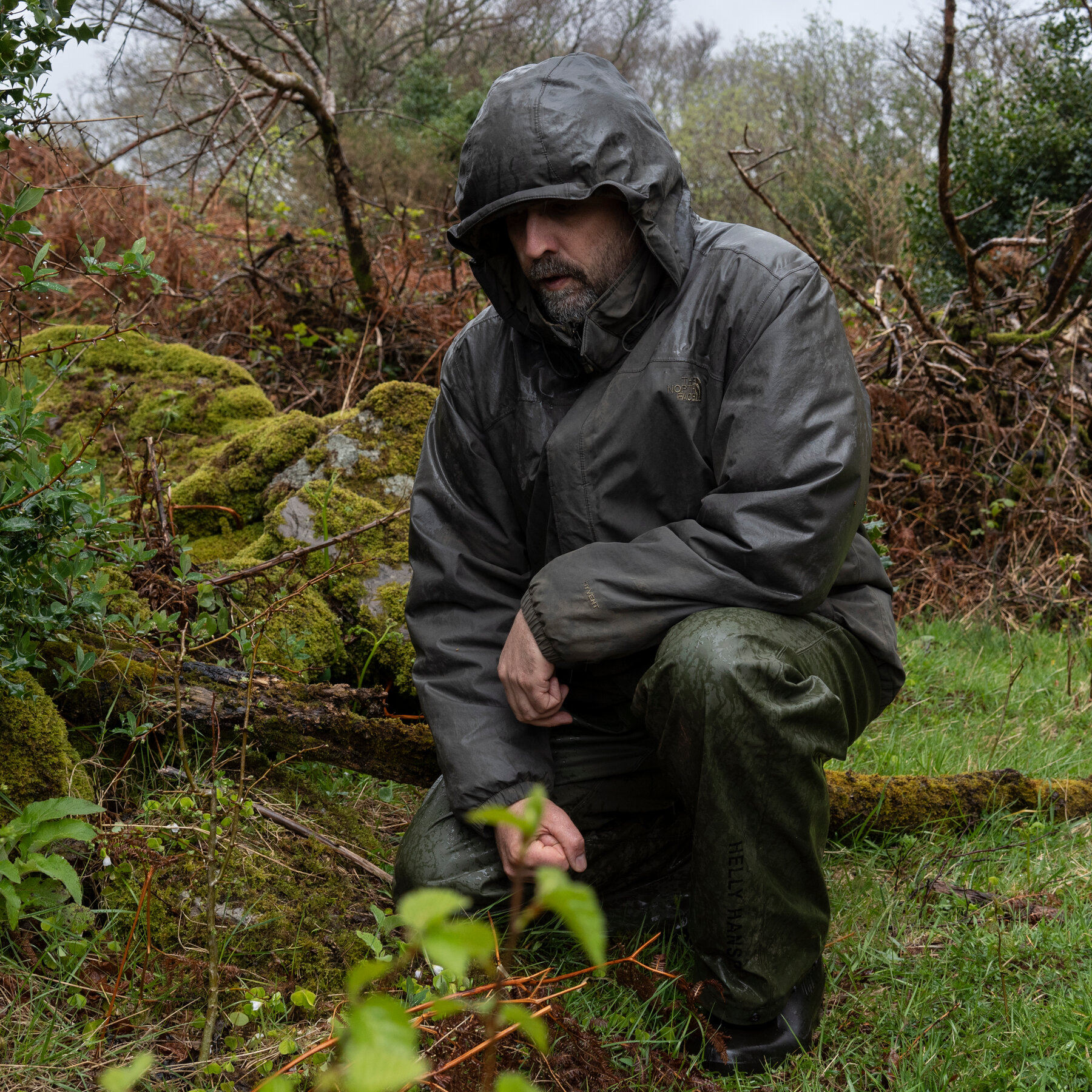 Much of Ireland Is an Ecological Desert. Meet the Man Who Wants to Rewild It.