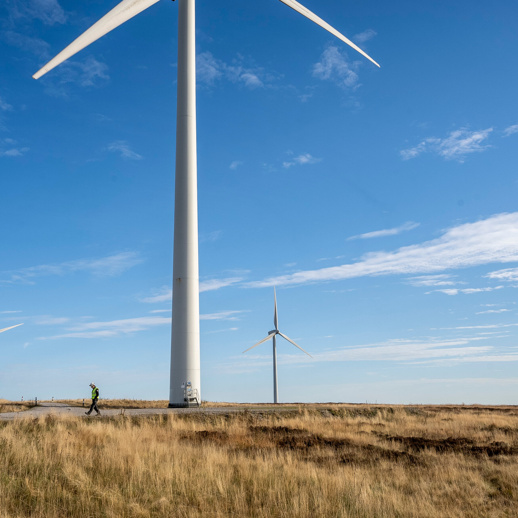 Utility in Britain Offers Free Electricity to Grow Clean Energy