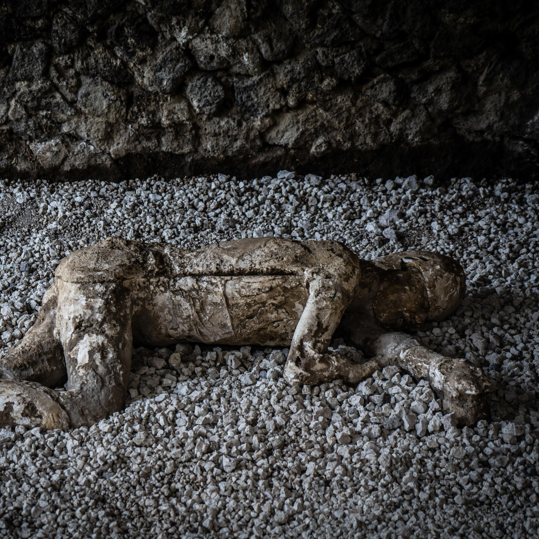 With DNA, Pompeii Narratives Take a Twist