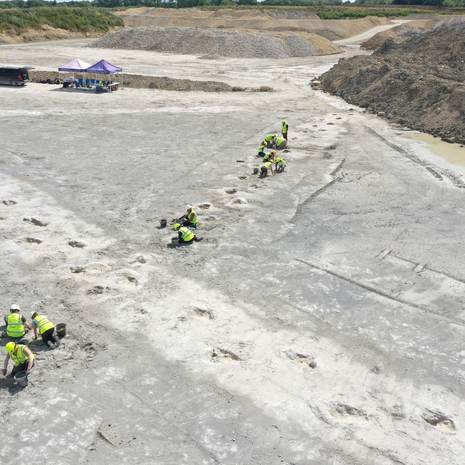 Dinosaur Footprints Found in England by Quarry Workers